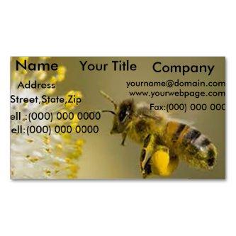 Honey Bee  magnets