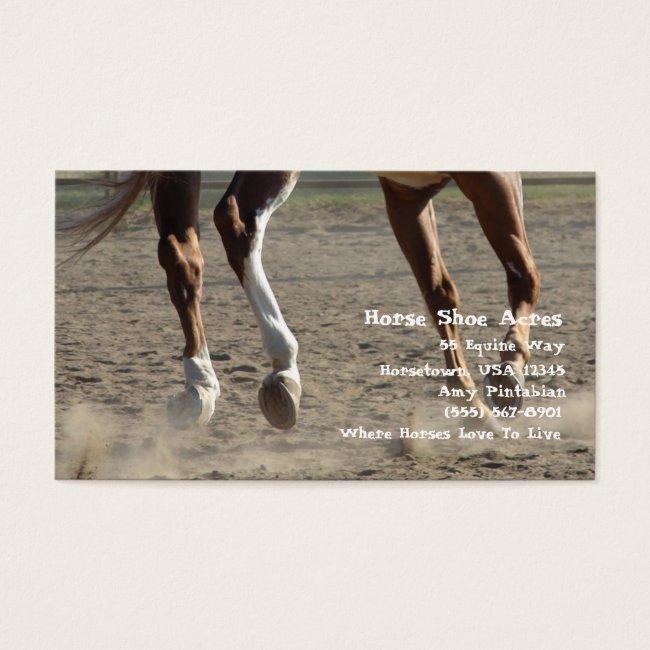 Hooves in Motion