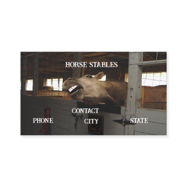 horse barn stable animal teeth