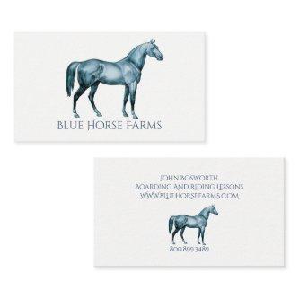 Horse Boarding And Riding Lessons