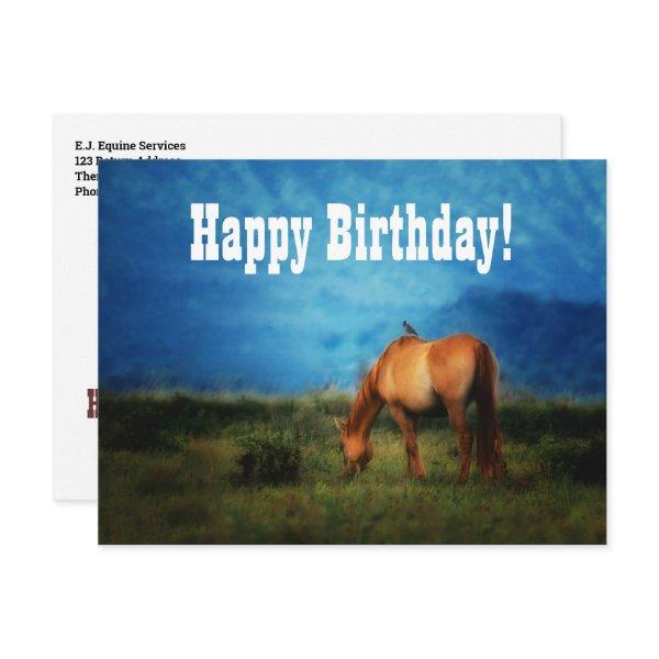 Horse Business or Vet Office from Group Birthday Postcard