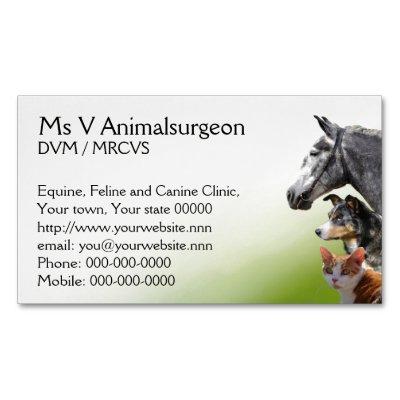 Horse, dog and cat vet practice  magnet