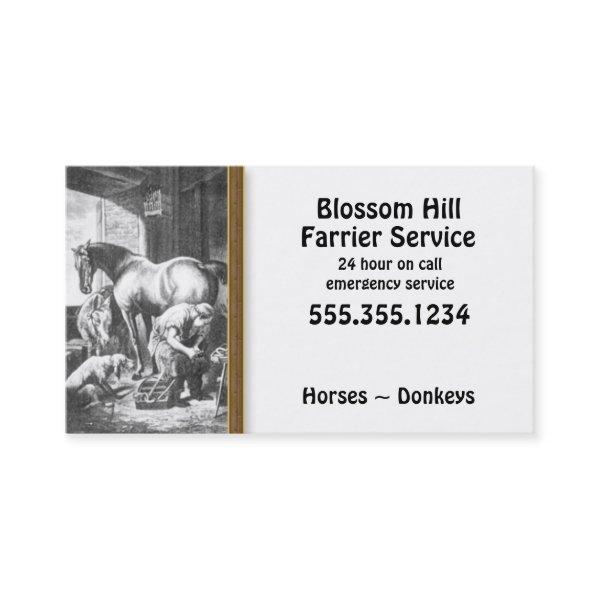 Horse Donkey Farrier