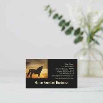 Horse Equine Services Feed Veterinarian