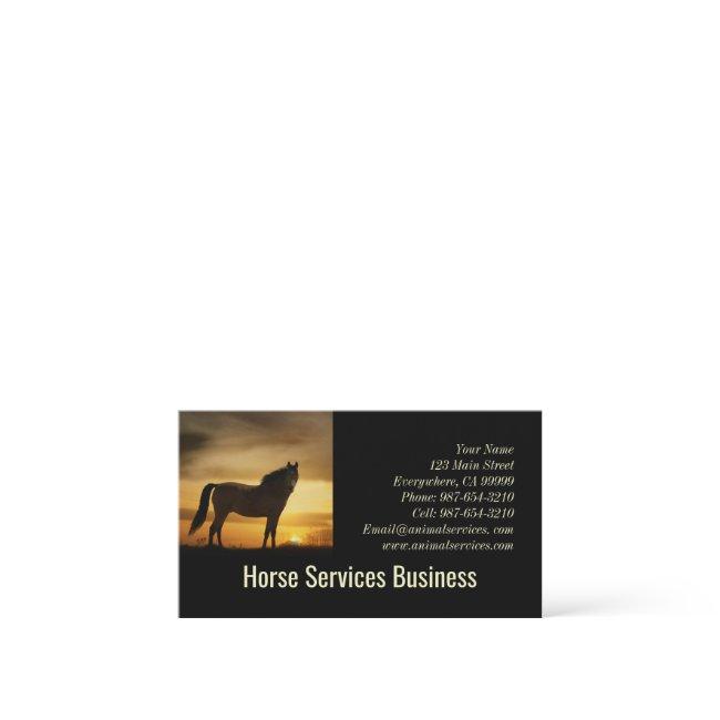 Horse Equine Services Feed Veterinarian