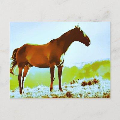 *~* Horse - Hill Mountains AR22 Equine Artistic Postcard