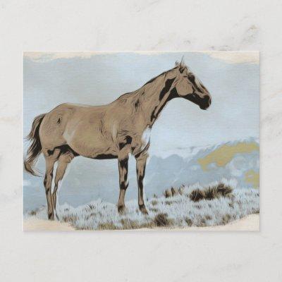 *~* Horse - Hill Mountains AR22 Equine Western Postcard