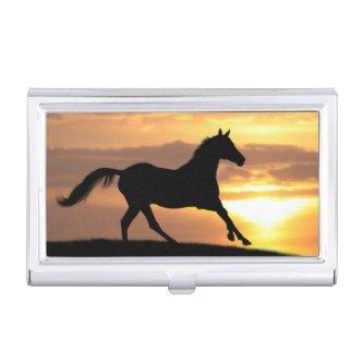 Horse In Sunset Case For