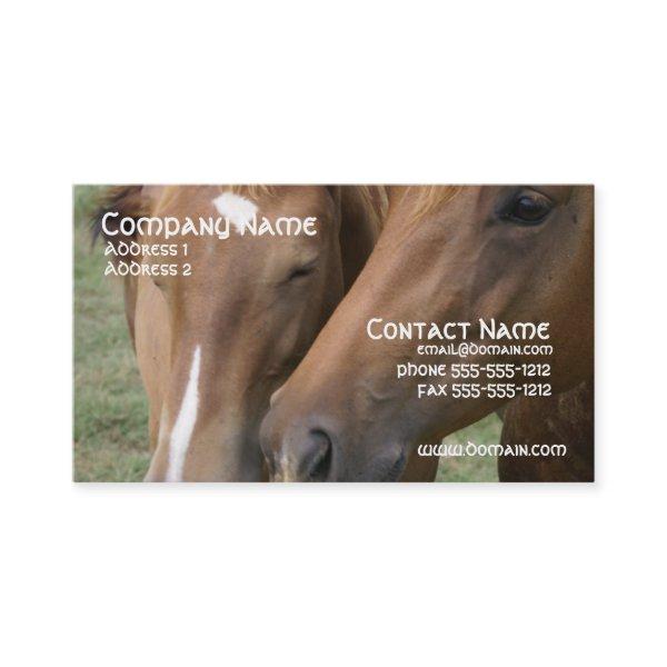 Horse Nuzzle