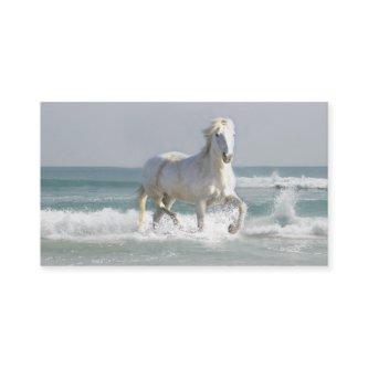 Horse Ocean