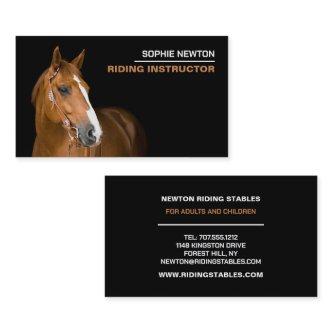 Horse Portrait, Riding Instructor, Academy