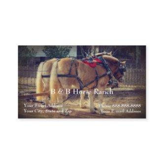 Horse Ranch