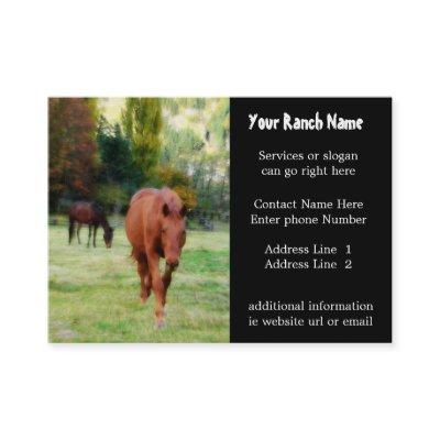 Horse ranch or Farm Supply