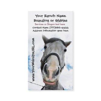 Horse Riding Stables or Boarding Services