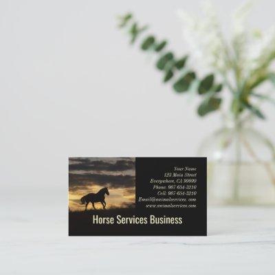 Horse Services or Boarding Vet