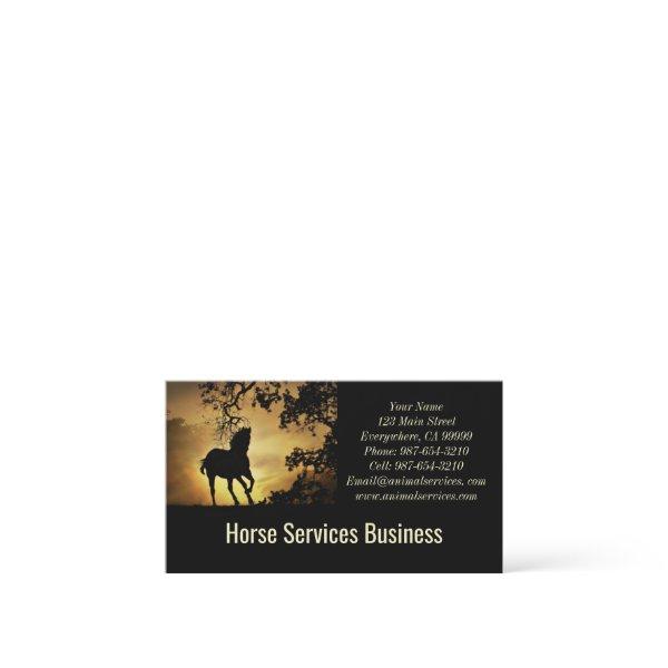Horse Services or Boarding Veterinarian Training