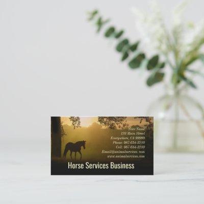 Horse Services or Equine Veterinarian