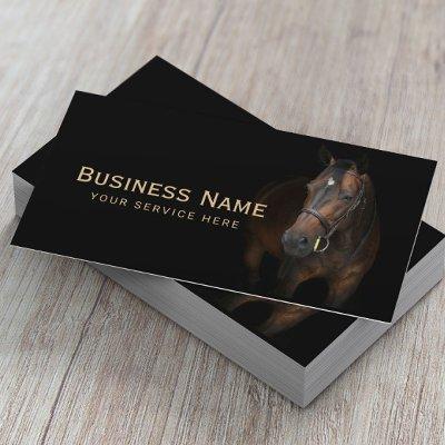 Horse Training Equestrian Horseback Riding Equine