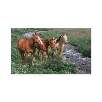 Horse Trio
