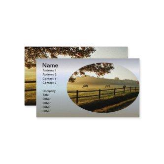 Horses Grazing in Sunrise Pasture