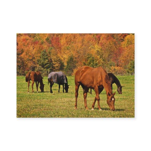 Horses in Autumn ATC