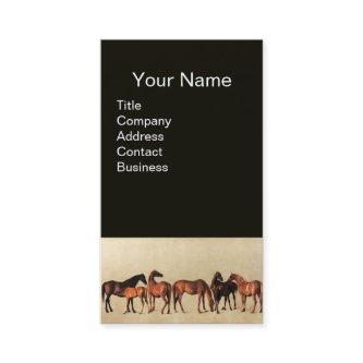 HORSES /MARES AND FOALS Black