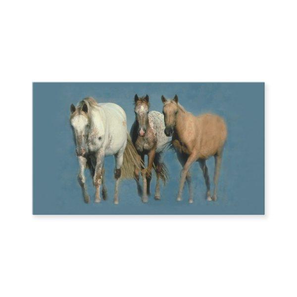Horses Wild and Wonderful
