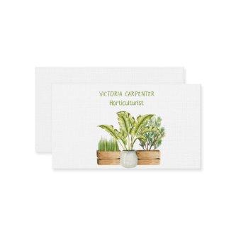 Horticulturist Green Plants