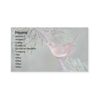 House Wren