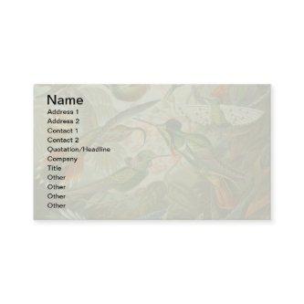 hummingbird bird wildlife classic painting