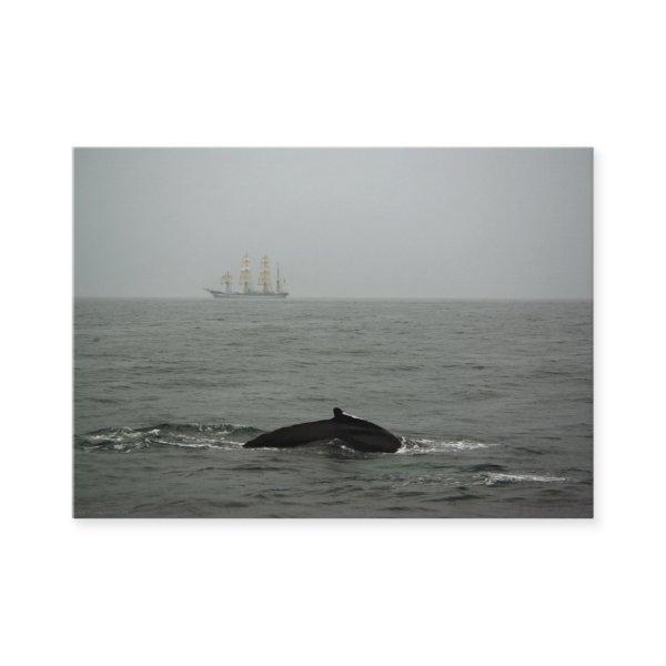 Humpback Whale and Tall Ship Mini Print