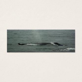 Humpback Whale Bookmark