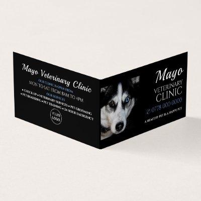 Husky, Veterinarian, Veterinary Service Detailed