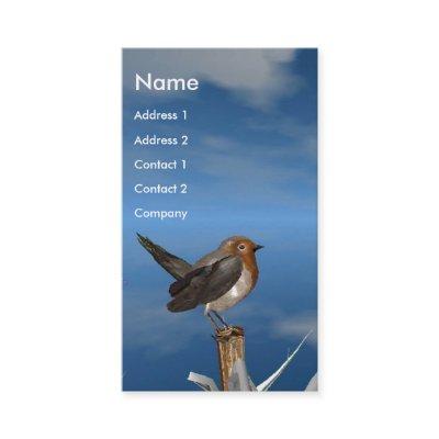 HYPER BIRDS / ROBIN RED BREAST MONOGRAM