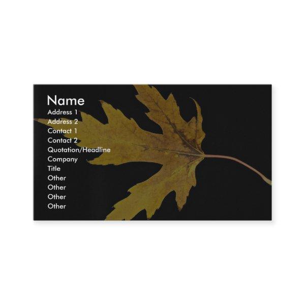 Impressive  Silver maple leaf