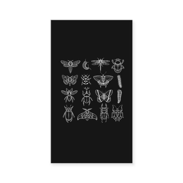 Insects Funny Entomologist Bug Catcher Entomology