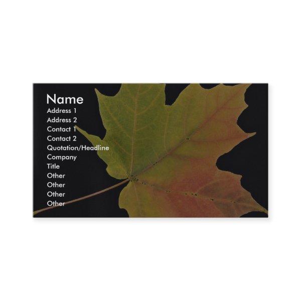Inspiring Sugar maple leaf