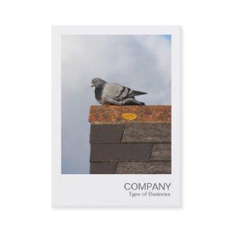Instant Photo 082 - Good Morning Pigeon