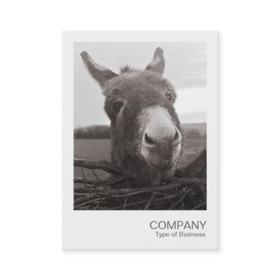 Instant Photo - Friendly Donkey