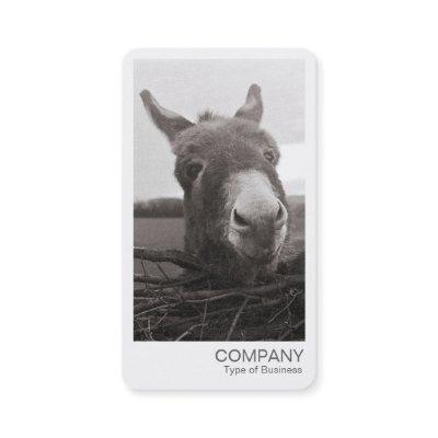 Instant Photo - Friendly Donkey