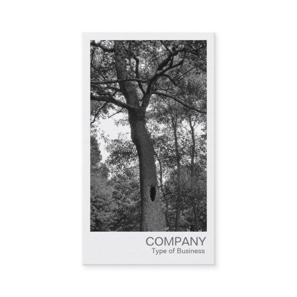 Instant Photo - Mysterious Tree