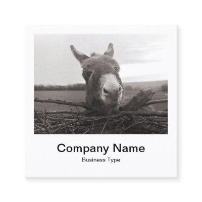 Instant Photo Style - Company - Donkey Square