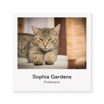 Instant Photo Style - Tabby Cat Square