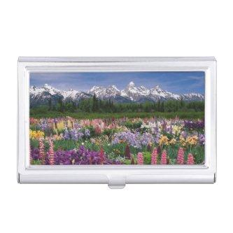 Iris and Lupine garden and Teton Range,  Holder