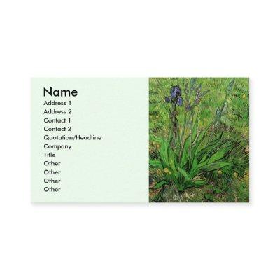 Iris by Vincent van Gogh, Vintage Garden Flowers