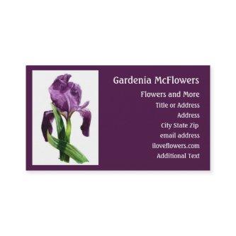 Iris Flower - Floral