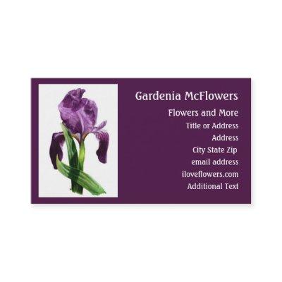 Iris Flower - Floral