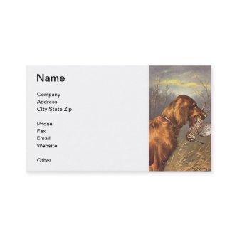 Irish Setter Dog