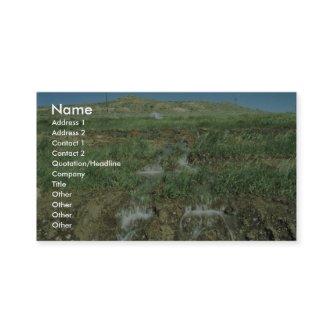 Irrigation runoff