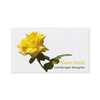 Isolate Yellow rose - template